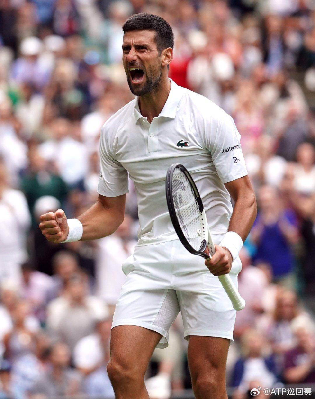 遵纪守法的 遵纪守法的