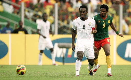 优质中卫的 优质中卫的