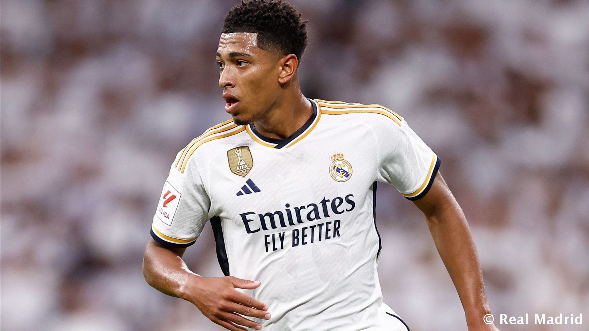 案例解析 案例解析