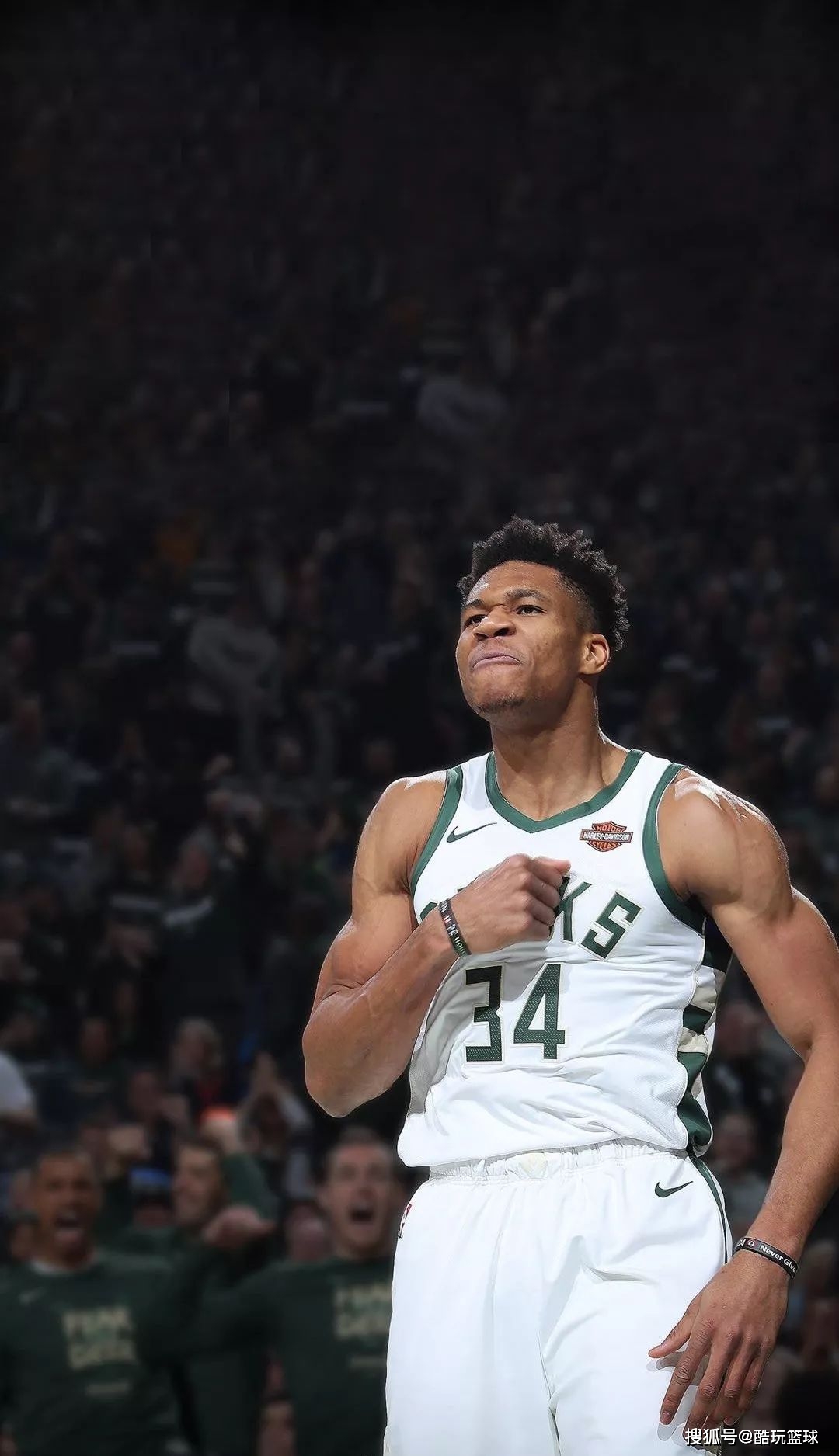 灌篮高手 灌篮高手