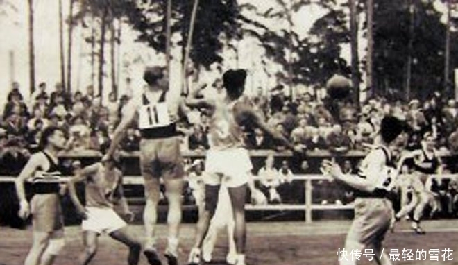 维持五人参 维持五人参